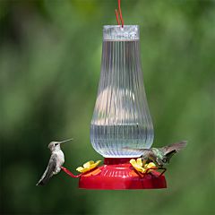 Perky-Pet® Fluted Oil Lamp Plastic Hummingbird Feeder - 20 oz