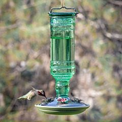 Perky-Pet® Green Antique Glass Bottle Hummingbird Feeder - 10 oz