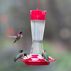 Perky-Pet® Top-Fill Pinch-Waist Glass Hummingbird Feeder - 12 oz