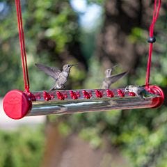 Perky-Pet® 2 ft Hummerbar® Hummingbird Feeder - 16 oz Nectar Capacity