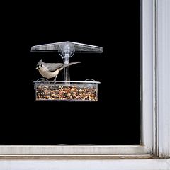 Droll Yankees® Observer Window Bird Feeder