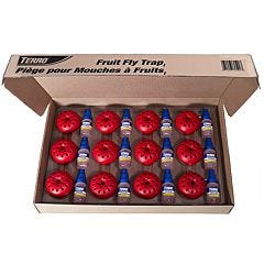 TERRO® Fruit Fly Trap - 12 Pack