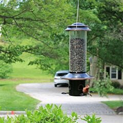  Squirrel-X MX5 Squirrel-Resistant Bird Feeder with Spring-Loaded Perches - 3.4  lb