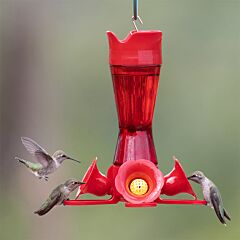  Perky-Pet® Pinch-Waist Red Glass Hummingbird Feeder