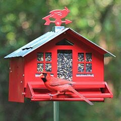  Perky-Pet® Squirrel-Be-Gone II Country House Wild Bird Feeder
