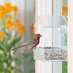 Perky-Pet® Dual-Seed Window Feeder - 1 lb Seed Capacity