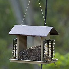  More Birds® Large Hopper Bird Feeder with Suet Holders - 8.4 lb and 2 suet      cakes