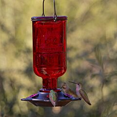  More Birds® Elixir Glass Hummingbird Feeder - 13 oz - Red