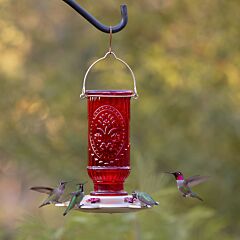  More Birds® Vintage Glass Hummingbird Feeder, Red - 20 oz