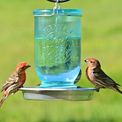  Perky-Pet® Mason Jar Wild Bird Waterer