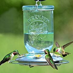  Perky-Pet® Mason Jar Hummingbird Feeder
