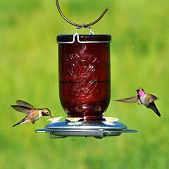  Perky-Pet® Red Mason Jar Hummingbird Feeder