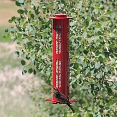  Squirrel-X X8 Squirrel-Resistant Bird Feeder with Spring-Loaded Perches - 2.5   lb