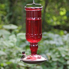  Perky-Pet® Red Antique Glass Bottle Hummingbird Feeder - 24 oz