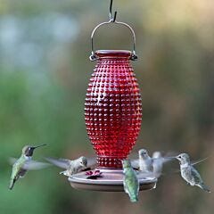  Perky-Pet® Red Hobnail Vintage Glass Hummingbird Feeder