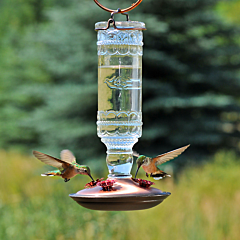  Perky-Pet® Clear Antique Glass Bottle Hummingbird Feeder - 10 oz
