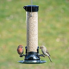  Droll Yankees® Onyx Clever Clean & Fill® Sunflower Tube Bird Feeder - 1 lb