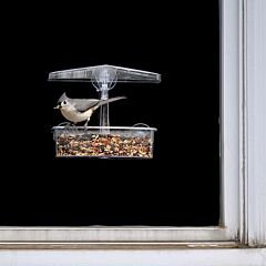  Droll Yankees® Observer Window Bird Feeder
