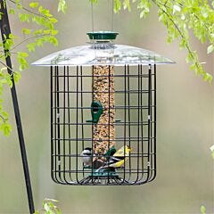  Droll Yankees® New Generation® Caged Squirrel-Proof Bird Feeder - 1 lb