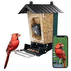  Perky-Pet® Smart Camera Squirrel-Resistant Bird Feeder
