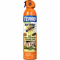  TERRO® Outdoor Ant Killer Spray