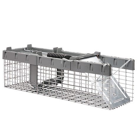 Havahart Small 1-Door Live Animal Trap
