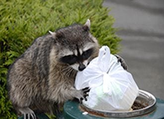 Near Trash Cans