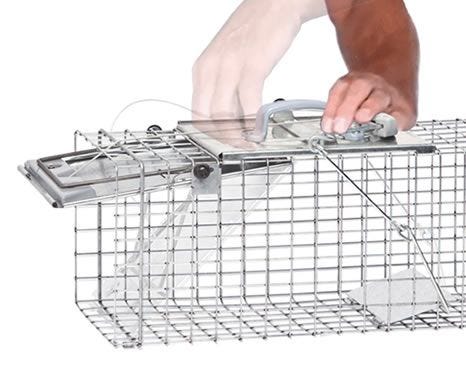 Trapping has never been easier
