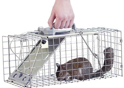 Enlarged hand guard and carrying handle protect you