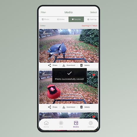 User Friendly App