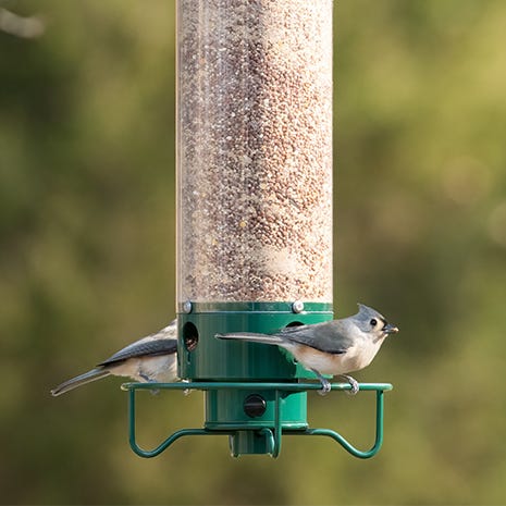 Less seed waste