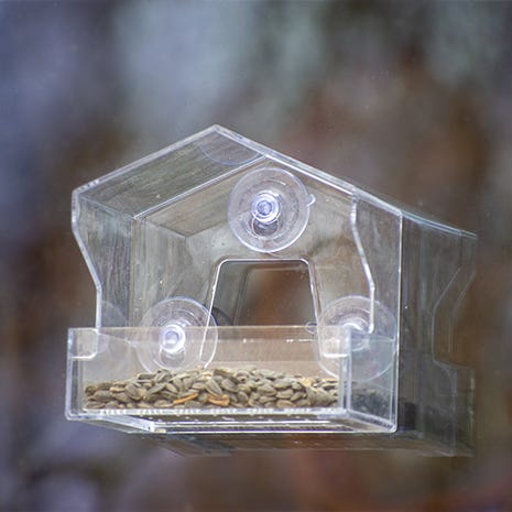 Fits Large and Small Birds