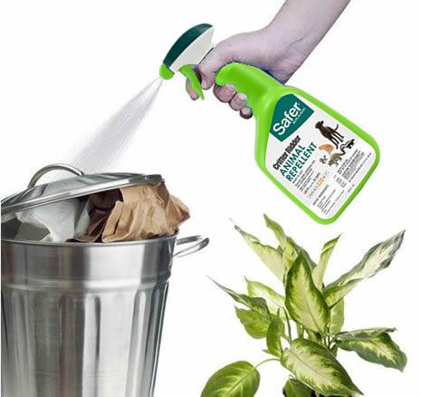 Spraying repellent on trash can lid