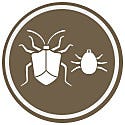 Killing Insects and Mites