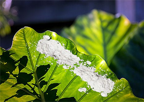 How to Use Garden Dust