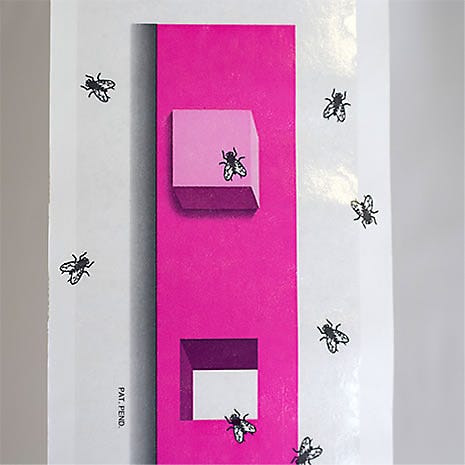 3D Design Attracts Flies