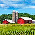 Barns
