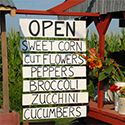 Food Areas