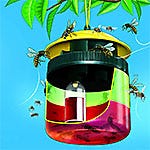 Fly Control