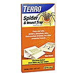 Spider Control