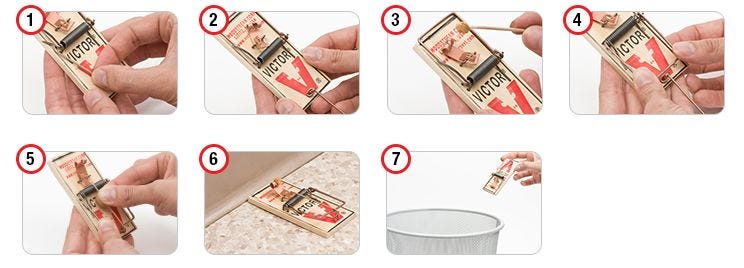 baiting steps