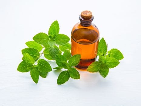 Why Peppermint Oil?