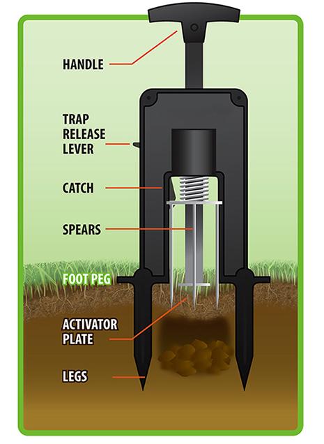 How to Set the Deadset Mole Trap